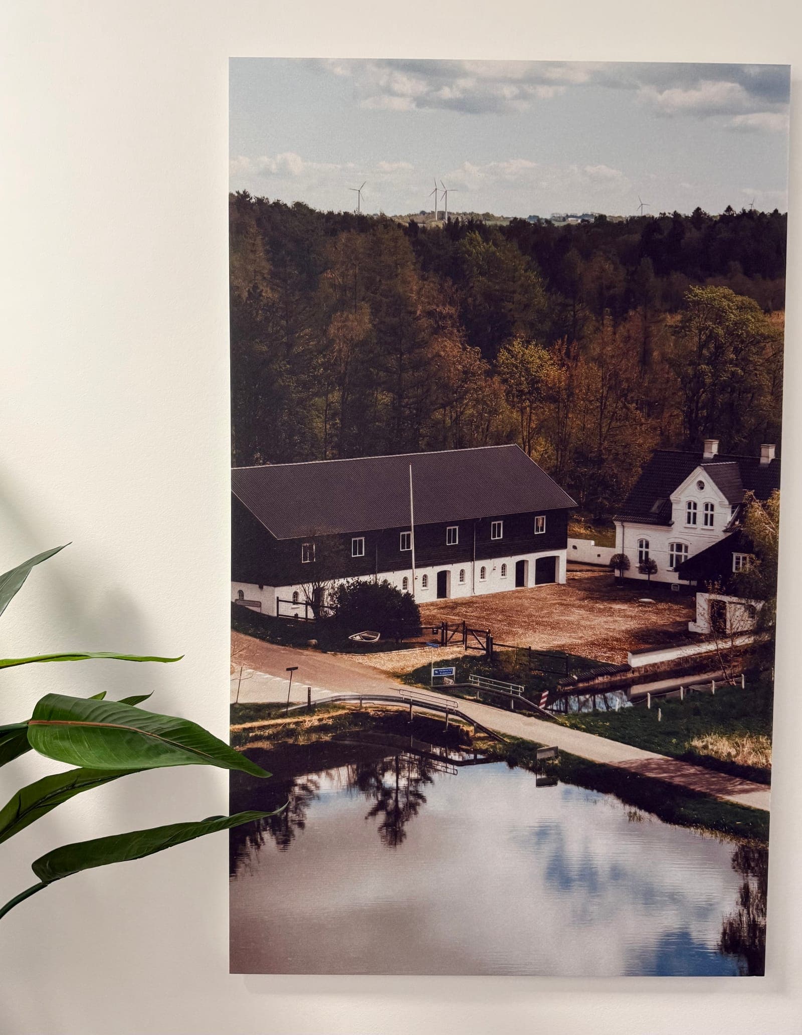 Lydabsorberende panel med naturmotiv i kontormiljø